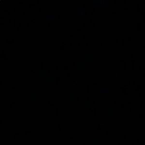 Meet your Posher, Maya